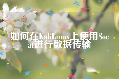 如何在KaliLinux上使用Socat进行数据传输