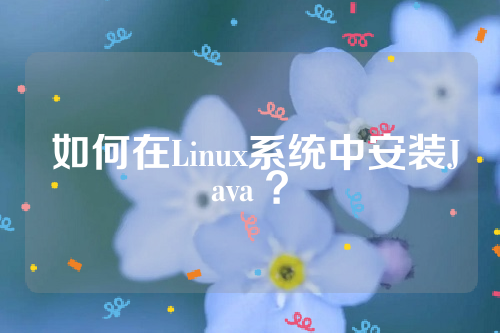  如何在Linux系统中安装Java ？