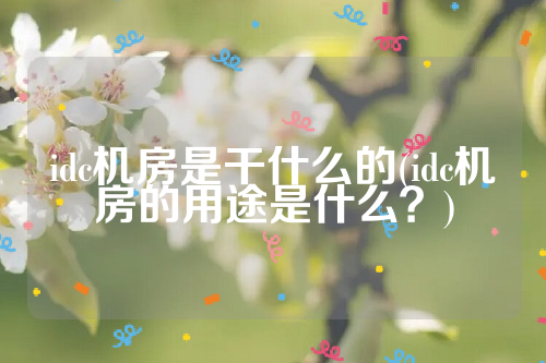 idc机房是干什么的(idc机房的用途是什么？)