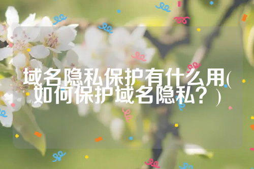 域名隐私保护有什么用(如何保护域名隐私？)