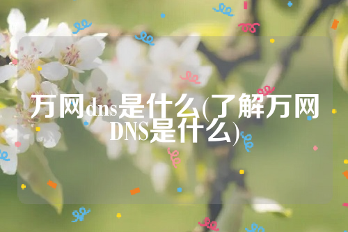 万网dns是什么(了解万网DNS是什么)