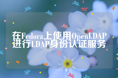 在Fedora上使用OpenLDAP进行LDAP身份认证服务