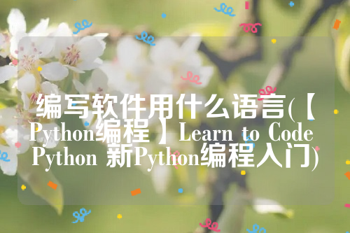 编写软件用什么语言(【Python编程】Learn to Code Python 新Python编程入门)