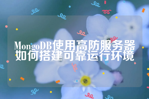 MongoDB使用高防服务器如何搭建可靠运行环境