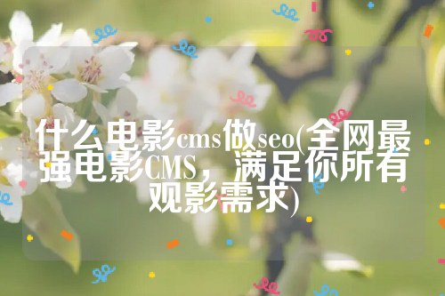 什么电影cms做seo(全网最强电影CMS，满足你所有观影需求)