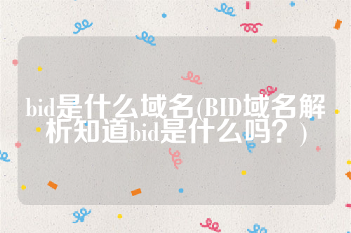 bid是什么域名(BID域名解析知道bid是什么吗？)