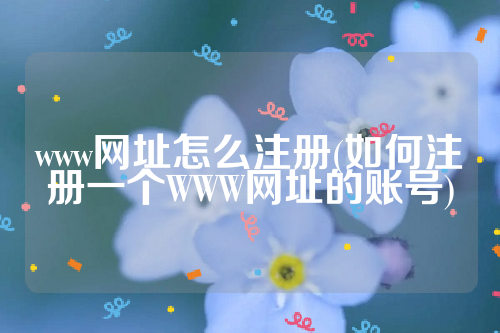 www网址怎么注册(如何注册一个WWW网址的账号)