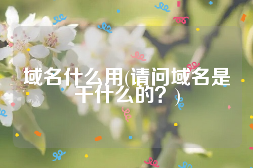 域名什么用(请问域名是干什么的？)