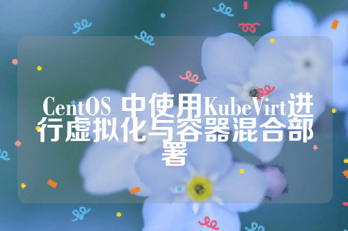  CentOS 中使用KubeVirt进行虚拟化与容器混合部署