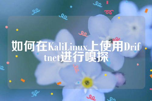 如何在KaliLinux上使用Driftnet进行嗅探