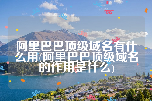 阿里巴巴顶级域名有什么用(阿里巴巴顶级域名的作用是什么)