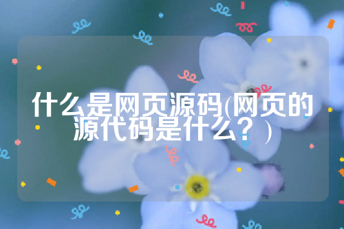 什么是网页源码(网页的源代码是什么？)