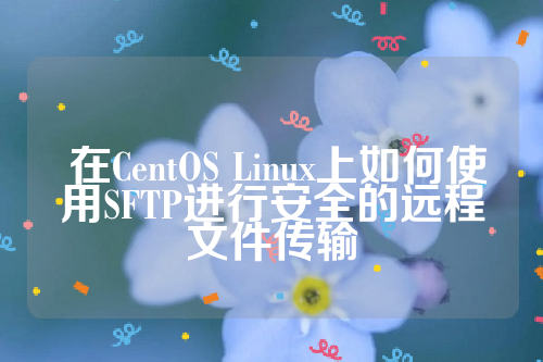  在CentOS Linux上如何使用SFTP进行安全的远程文件传输