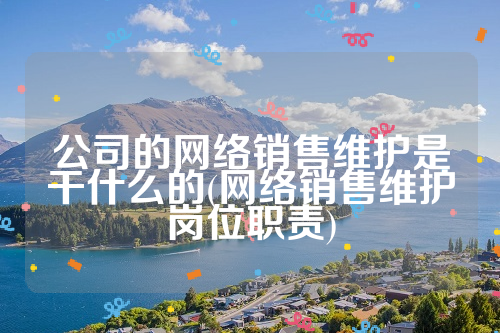 公司的网络销售维护是干什么的(网络销售维护岗位职责)