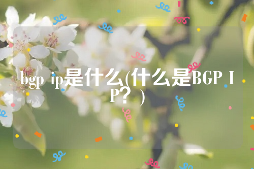 bgp ip是什么(什么是BGP IP？)