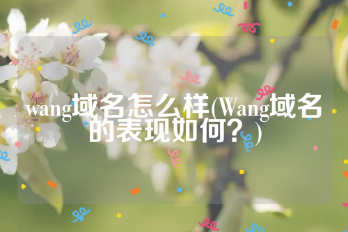 wang域名怎么样(Wang域名的表现如何？)