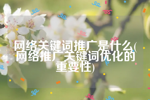 网络关键词推广是什么(网络推广关键词优化的重要性)