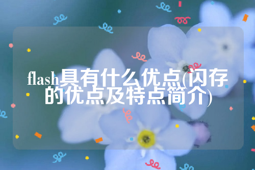 flash具有什么优点(闪存的优点及特点简介)