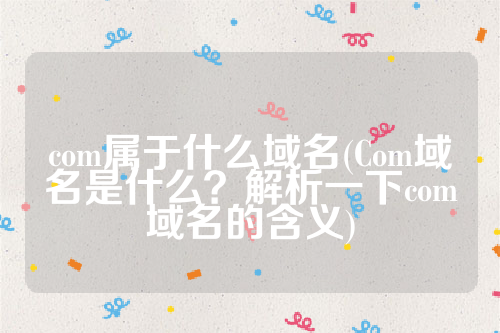 com属于什么域名(Com域名是什么？解析一下com域名的含义)