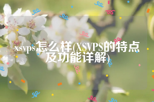 xsvps怎么样(XSVPS的特点及功能详解)