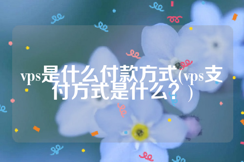 vps是什么付款方式(vps支付方式是什么？)