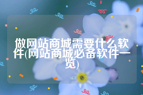 做网站商城需要什么软件(网站商城必备软件一览)