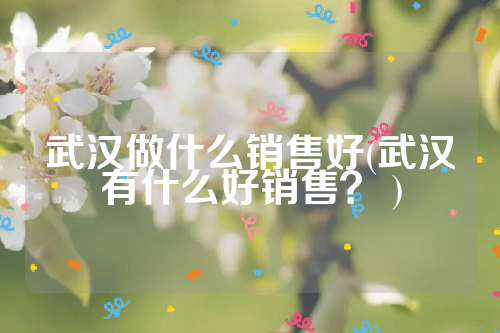 武汉做什么销售好(武汉有什么好销售？ )