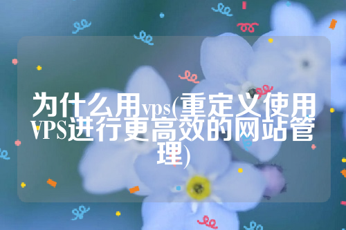 为什么用vps(重定义使用VPS进行更高效的网站管理)