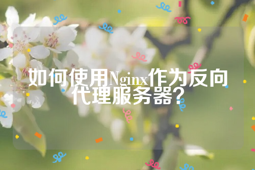 如何使用Nginx作为反向代理服务器？