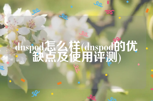 dnspod怎么样(dnspod的优缺点及使用评测)