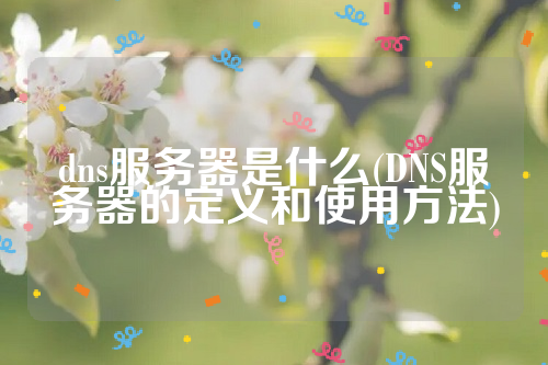 dns服务器是什么(DNS服务器的定义和使用方法)