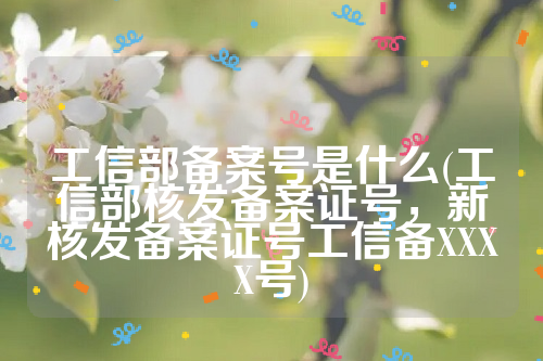 工信部备案号是什么(工信部核发备案证号，新核发备案证号工信备XXXX号)