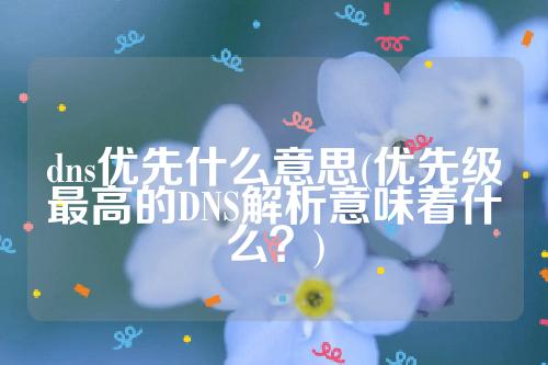 dns优先什么意思(优先级最高的DNS解析意味着什么？)