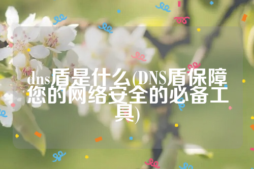 dns盾是什么(DNS盾保障您的网络安全的必备工具)