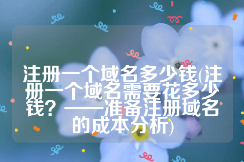 注册一个域名多少钱(注册一个域名需要花多少钱？——准备注册域名的成本分析)