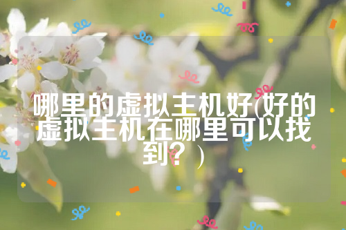 哪里的虚拟主机好(好的虚拟主机在哪里可以找到？)