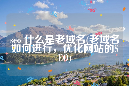 seo 什么是老域名(老域名如何进行，优化网站的SEO)