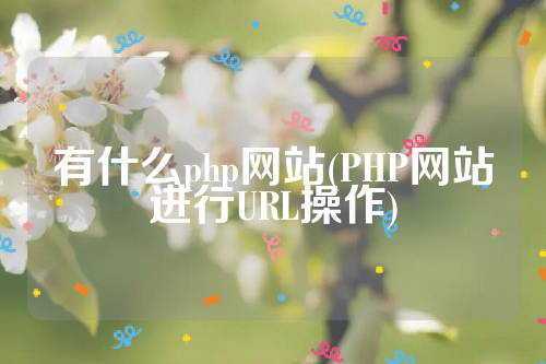 有什么php网站(PHP网站进行URL操作)