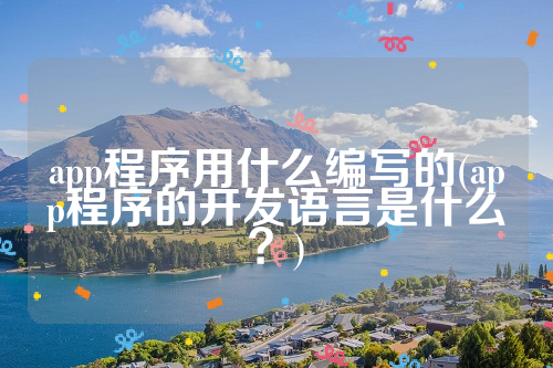 app程序用什么编写的(app程序的开发语言是什么？)