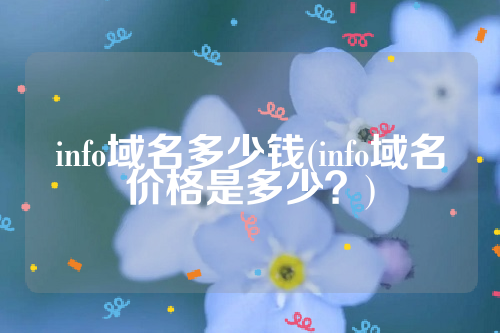 info域名多少钱(info域名价格是多少？)