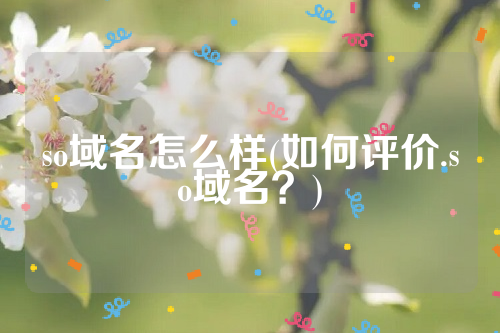 so域名怎么样(如何评价.so域名？)