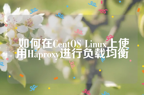  如何在CentOS Linux上使用Haproxy进行负载均衡