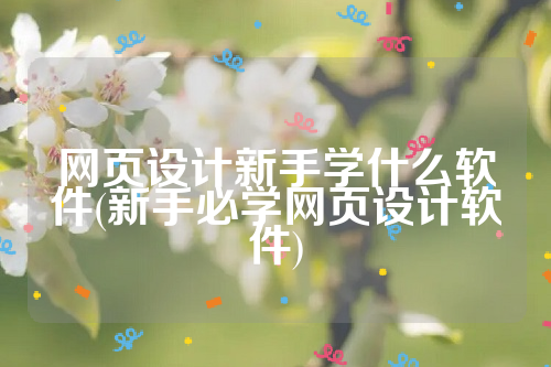 网页设计新手学什么软件(新手必学网页设计软件)