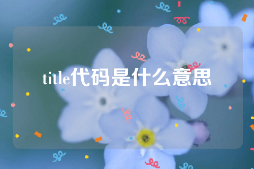 title代码是什么意思