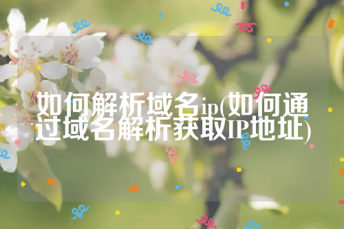 如何解析域名ip(如何通过域名解析获取IP地址)