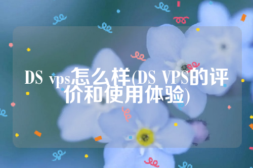 DS vps怎么样(DS VPS的评价和使用体验)