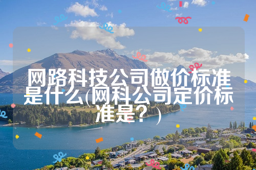 网路科技公司做价标准是什么(网科公司定价标准是？)