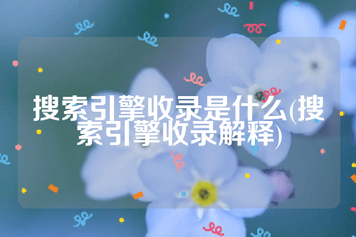 搜索引擎收录是什么(搜索引擎收录解释)