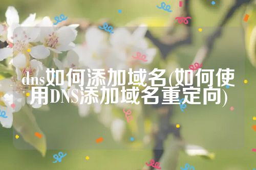 dns如何添加域名(如何使用DNS添加域名重定向)