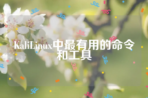 KaliLinux中最有用的命令和工具